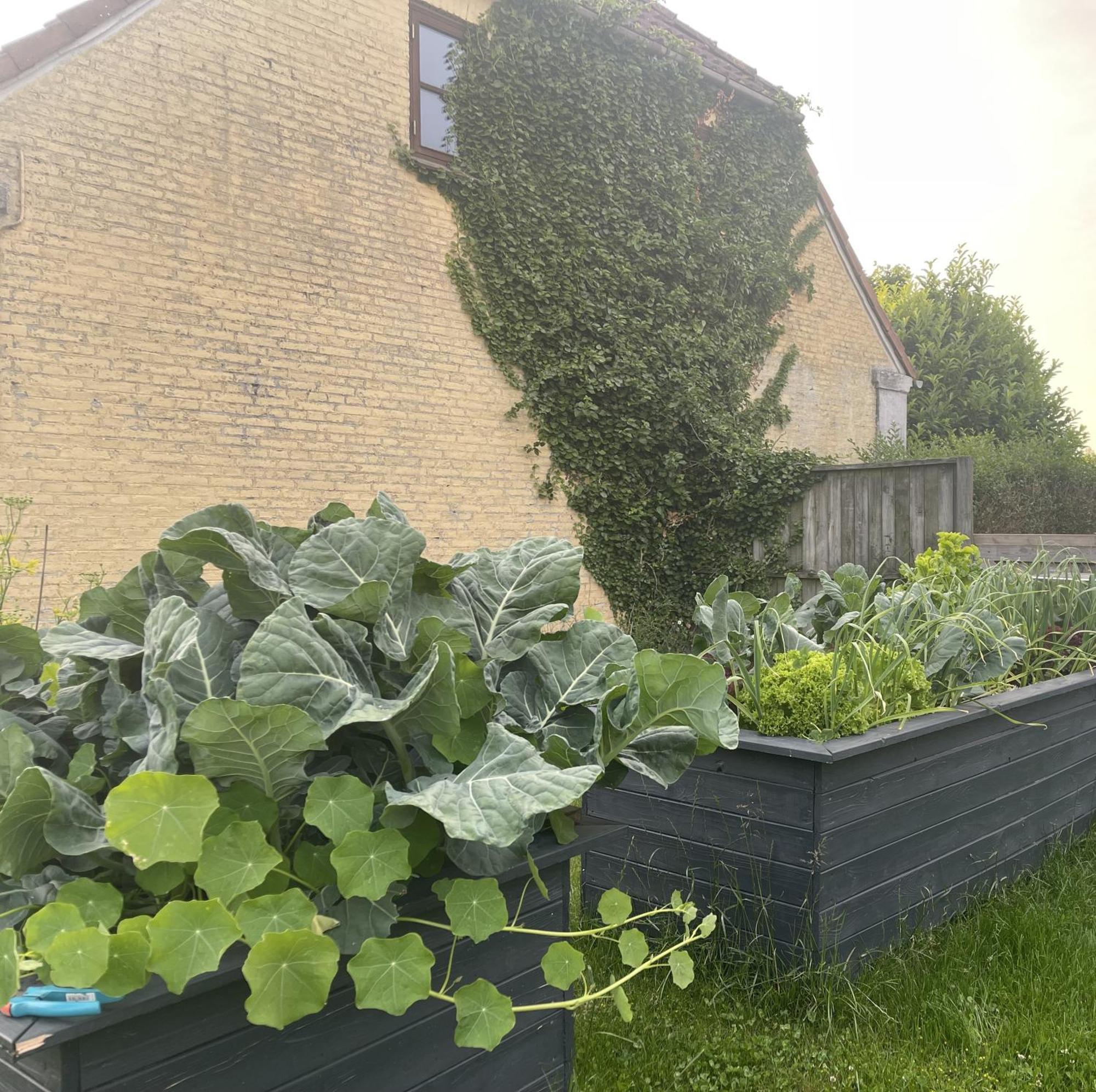 Jygge- Hyggelige Ferienwohnung Nordborg Kültér fotó